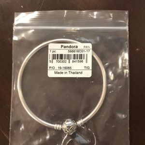 Pandora bracelet